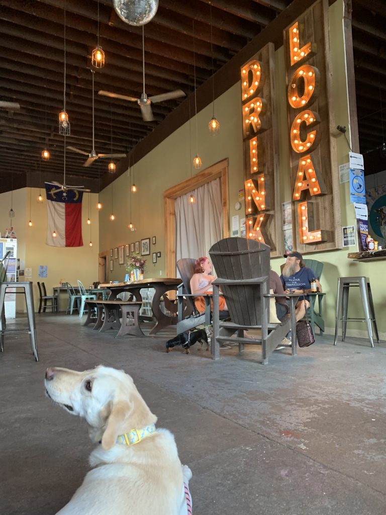 My dog Lemon goes to dog friendly breweries in Hendersonville, NC