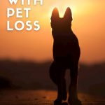 Silhouette of a German Shepherd staring into a beautiful orange sunset.