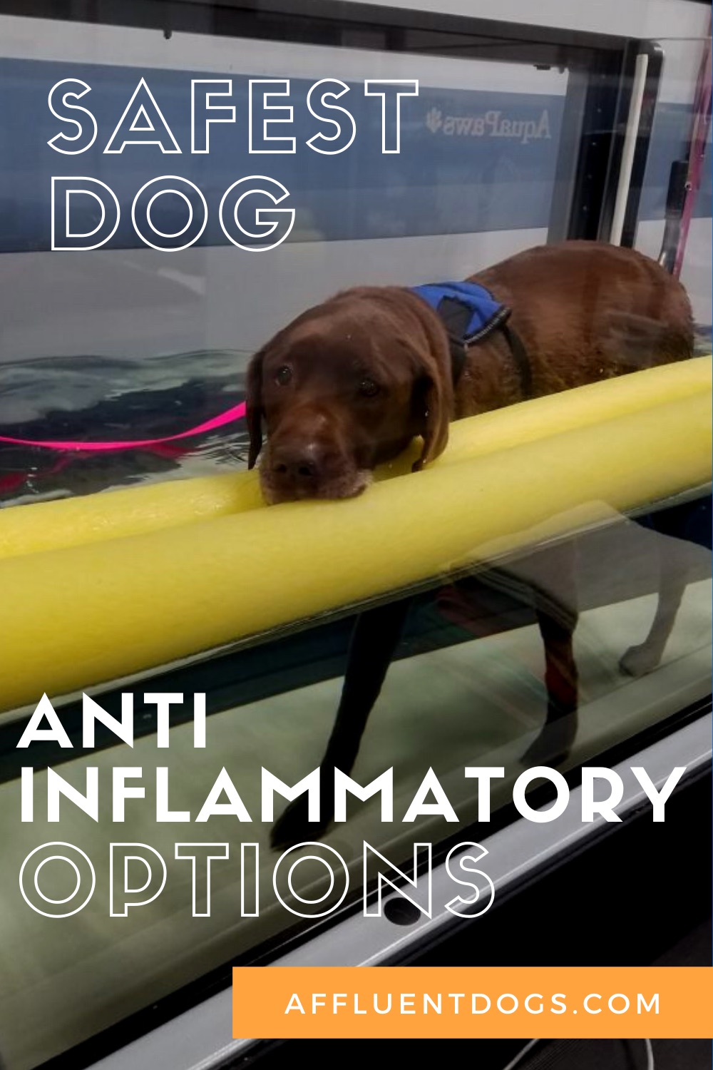 what is the safest anti inflammatory for dogs