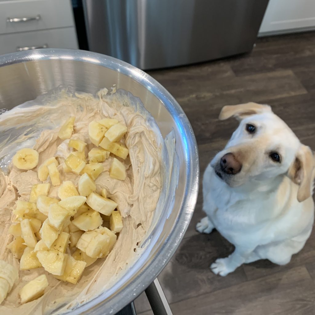 Preparing to make Banana Mutt Crisp for our filled West Paw Toppl treat toy