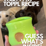 Two labs inspecting their Toppl with its side hole sealed with peanut butter