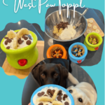 A photo collage of preparing a filled West Paw Toppl and two wide eyed Labradors ready to dig in!