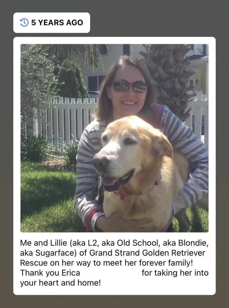 Me with 15 year old foster dog Lillie before heading to her new forever home!