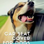 A happy German Shepherd mix breed dog is smiling with his tongue hanging out and his eyes closed as he sticks his head out the family car window while driving down the road.