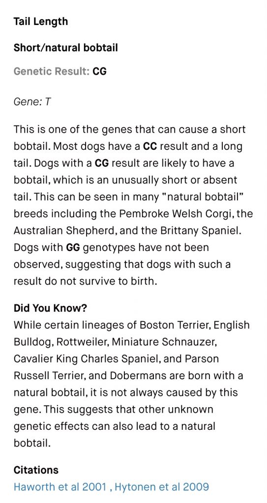 My dog Ruby’s Embark DNA results for the Tail Length trait.