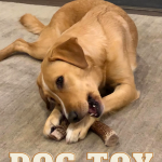 Yellow Labrador mix chews an antler dog toy favorite