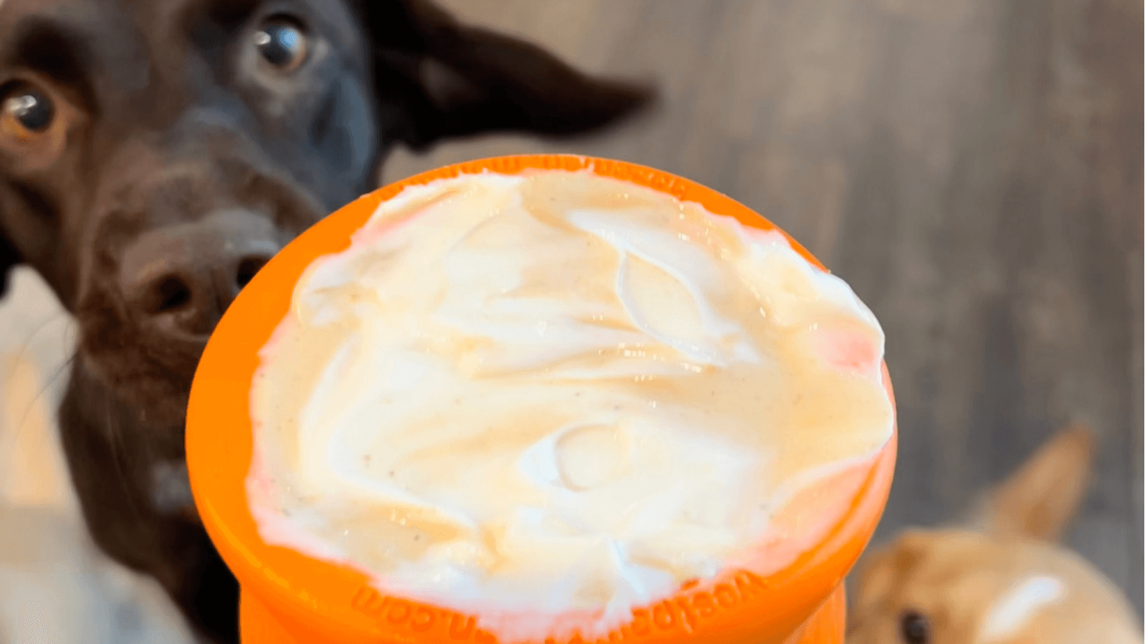 Easy Toppl Recipes for Dog Enrichment