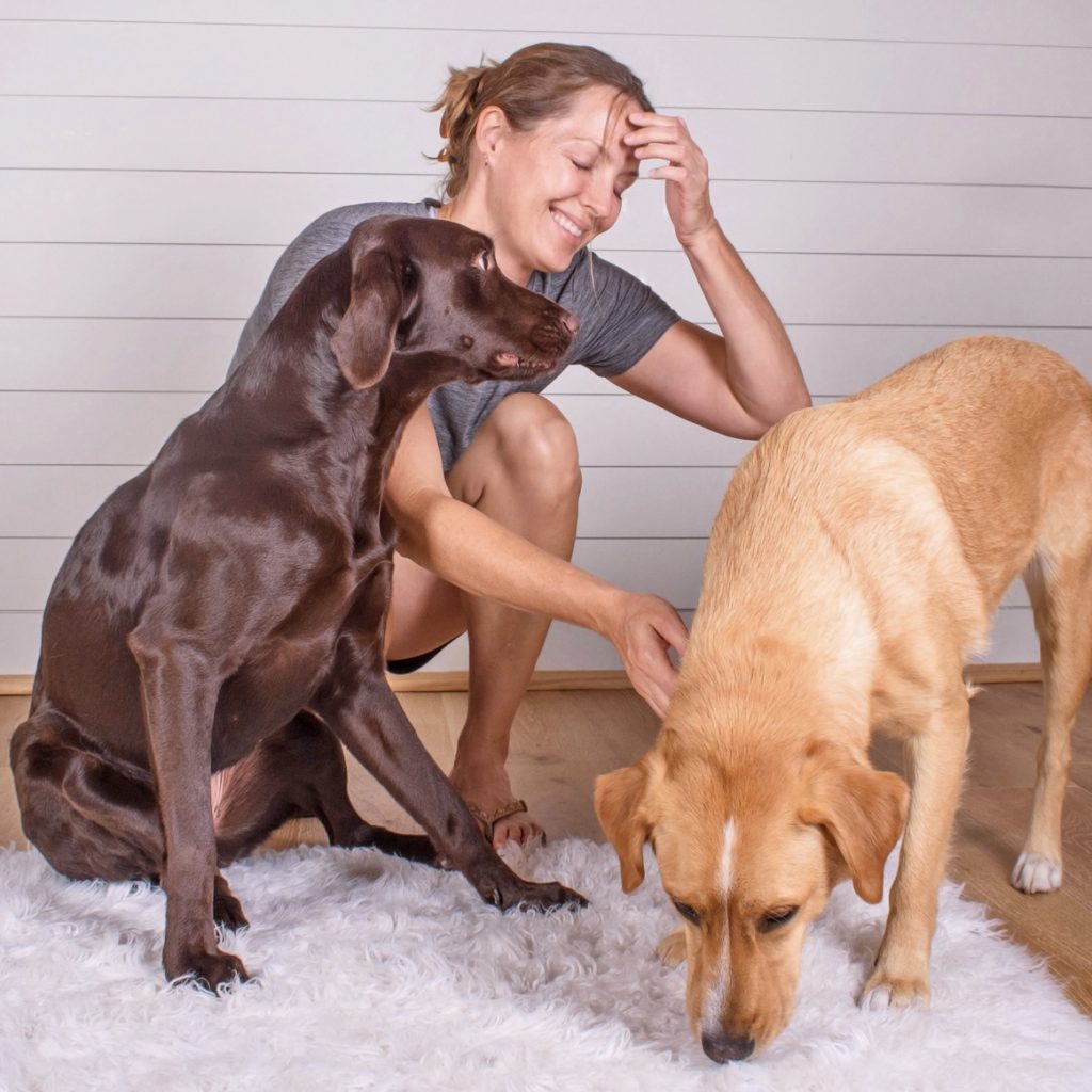 Blog author Ellen wrangles dogs Ruby and Olive for a photo shoot