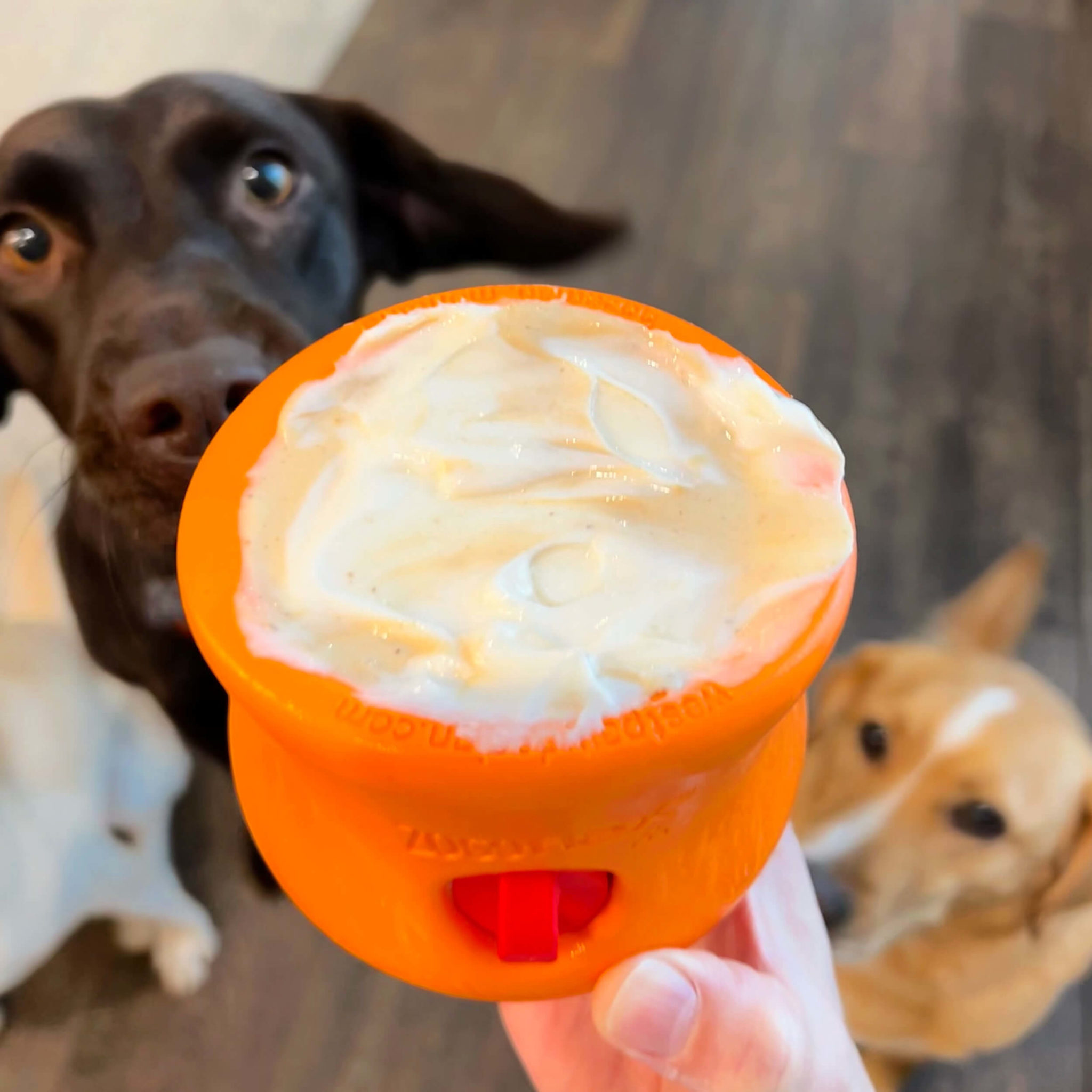 West Paw Toppl Recipe: The Fluffermutter | Affluent Dogs 