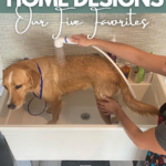 A yellow lab mix gets a rinse in the at home dog washing station