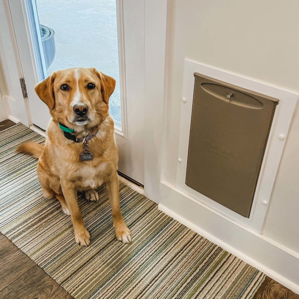 How to Put a Dog Door in a Door  