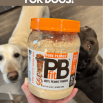 Two Labradors check out their container of PBfit Pure Peanut