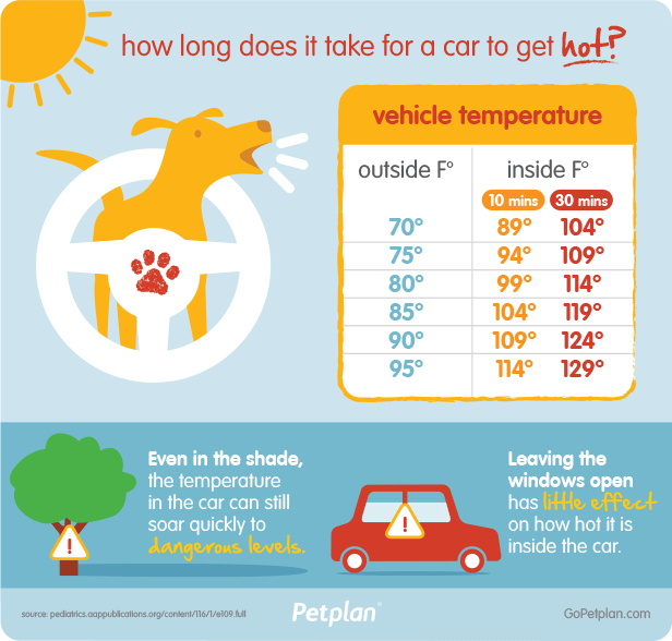 Infographic from Petplan showing how hot the inside of a car can become within 10 minutes based on air temperature.
