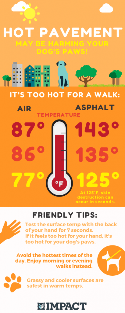 Infographic from Impact Dog Crates showing how hot surfaces on which you walk your dog can become based on air temperature.