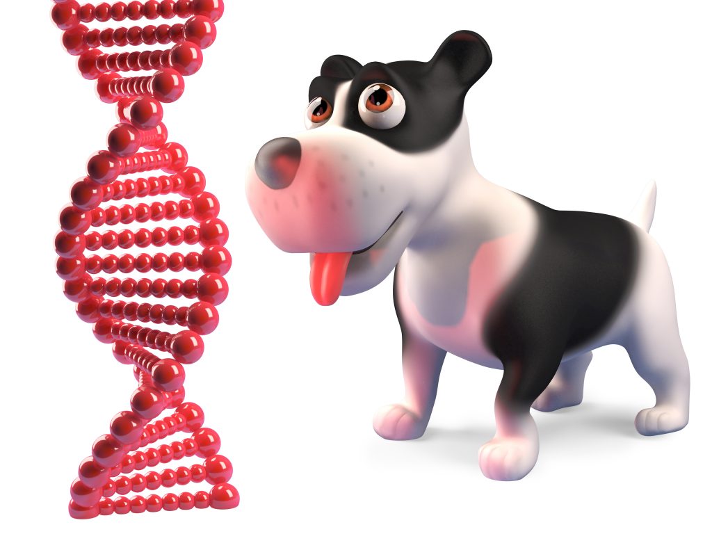 Cartoon of a black and white dog with a sciency looking DNA spiral